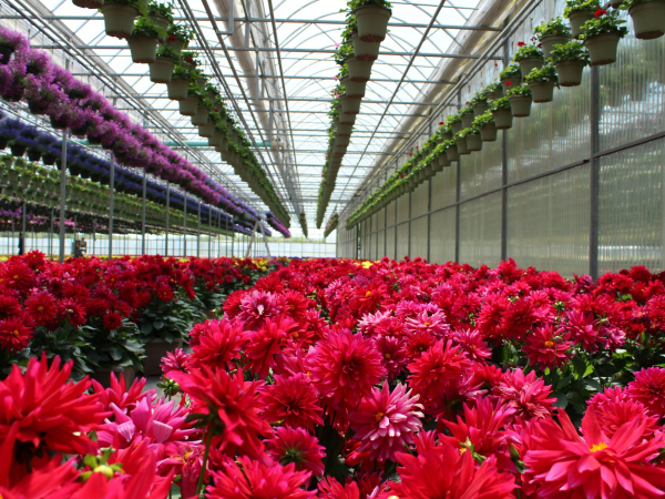 Horticulture